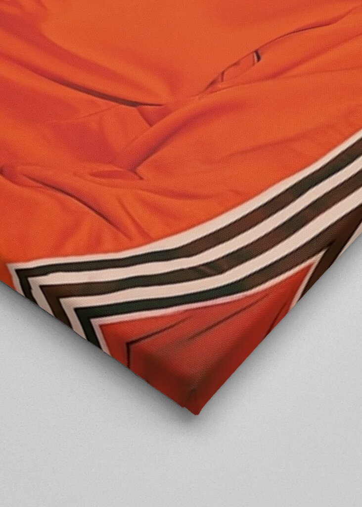 Puma im Trainingsanzug