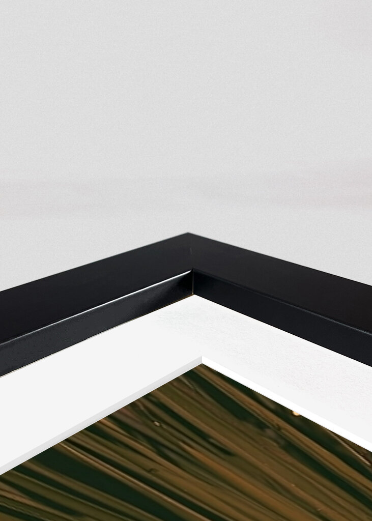 Puma im Trainingsanzug