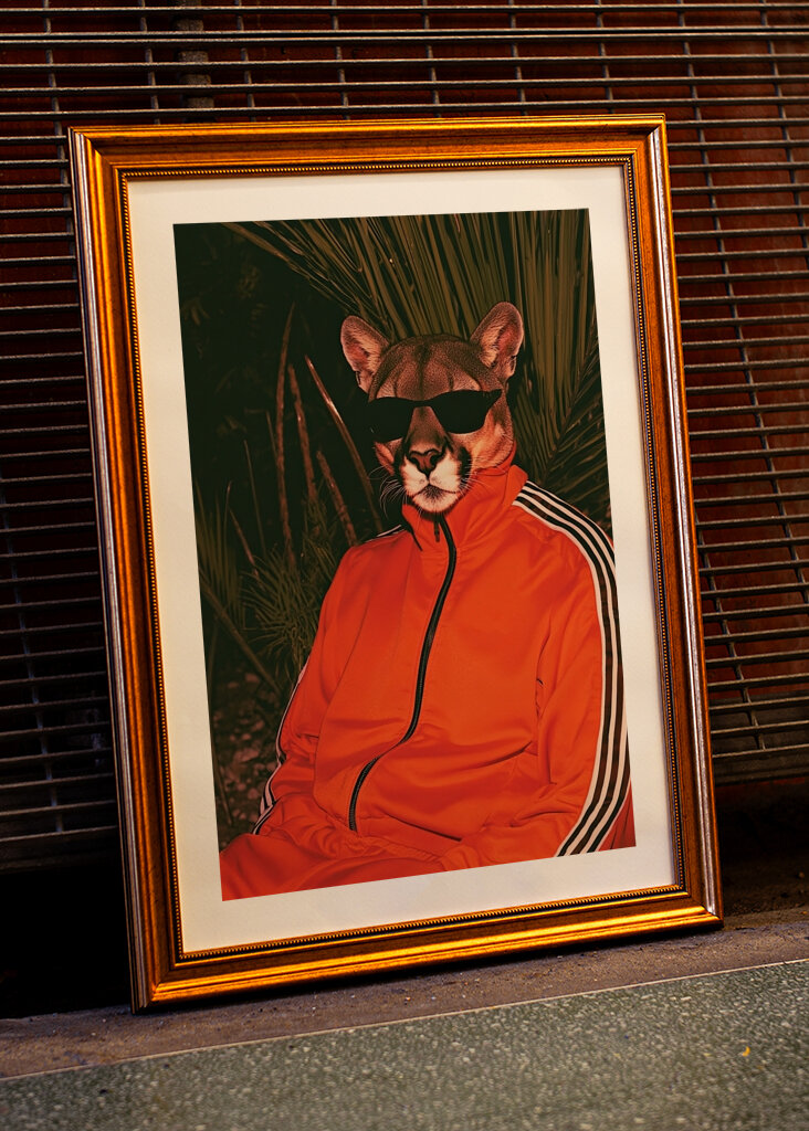 Puma im Trainingsanzug