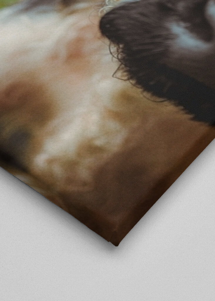 Boucles en point final