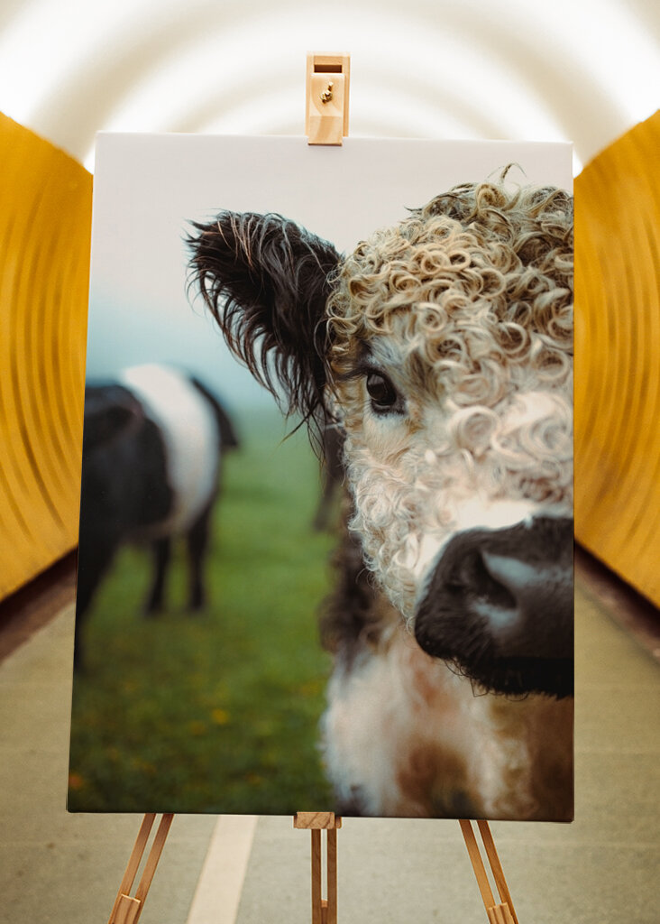 Boucles en point final