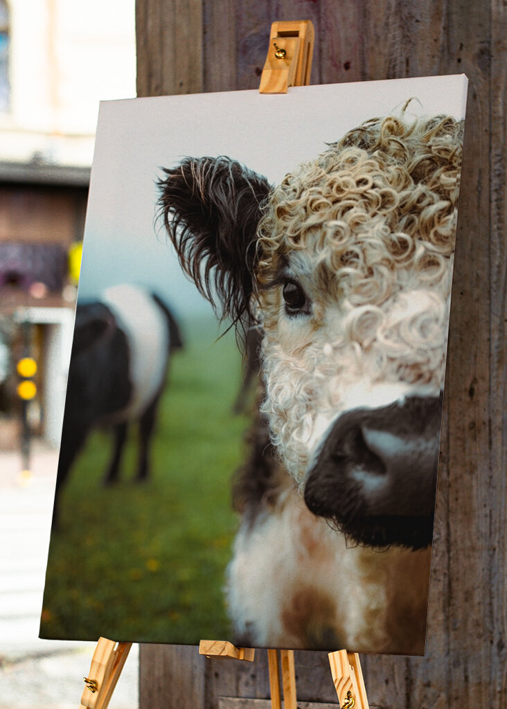 Boucles en point final