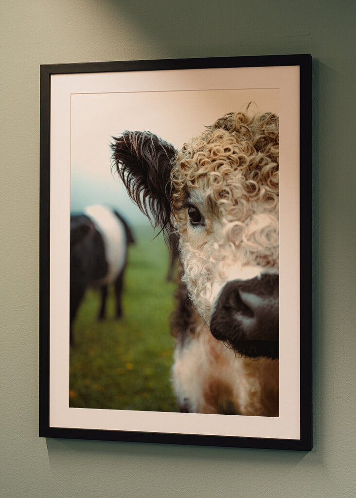 Boucles en point final