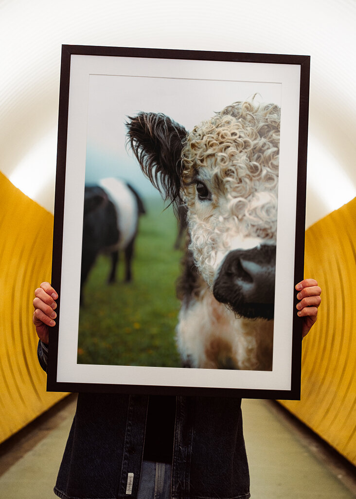 Boucles en point final