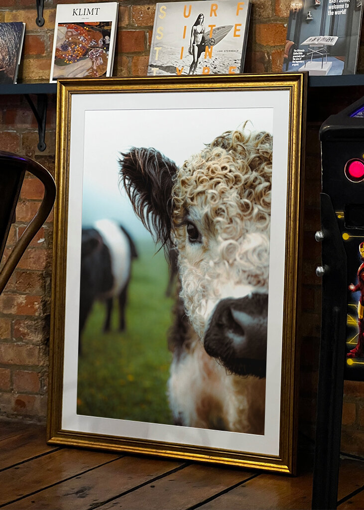 Boucles en point final