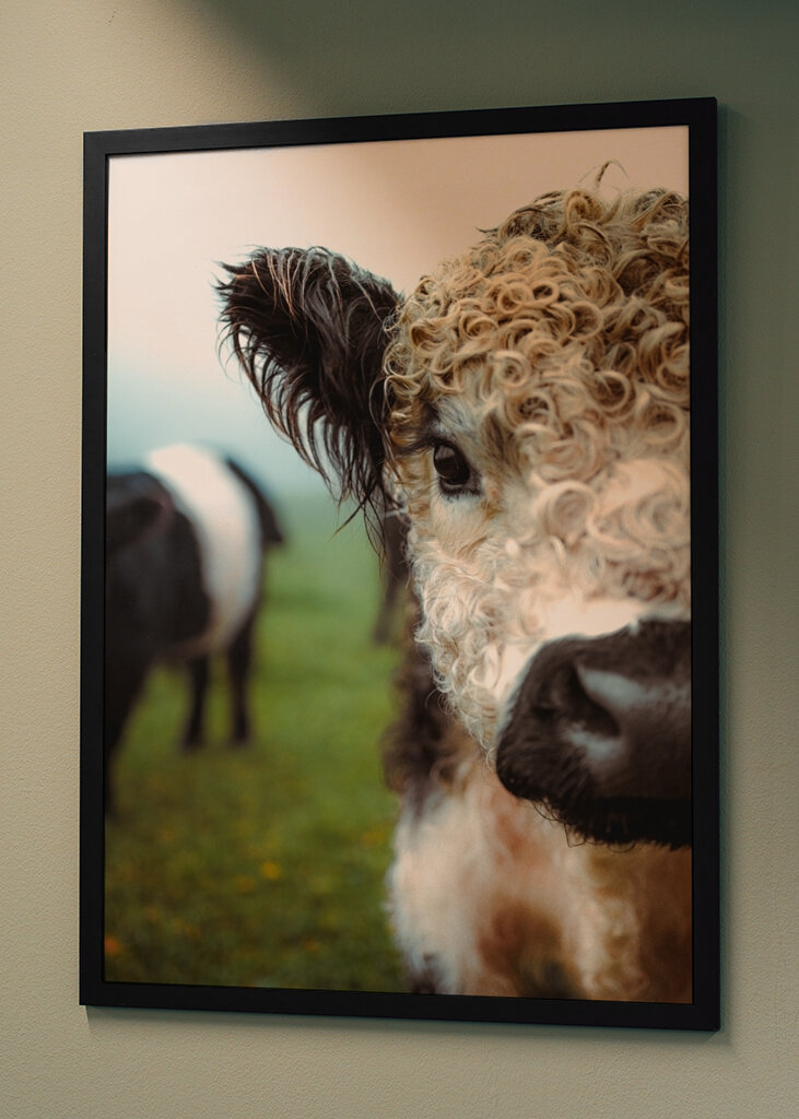 Boucles en point final