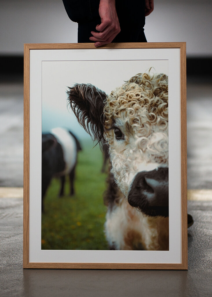 Boucles en point final