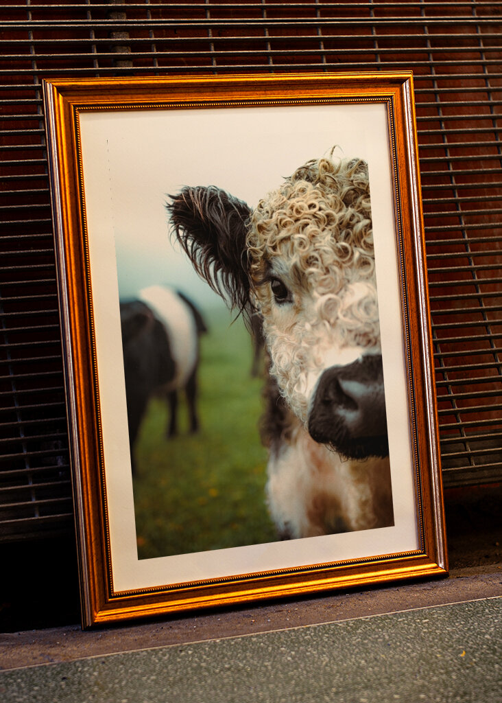 Boucles en point final