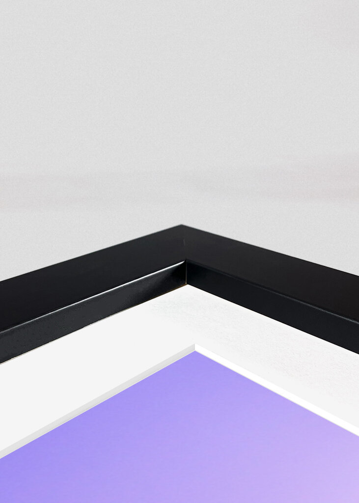 Gröna Lund in pink sunset