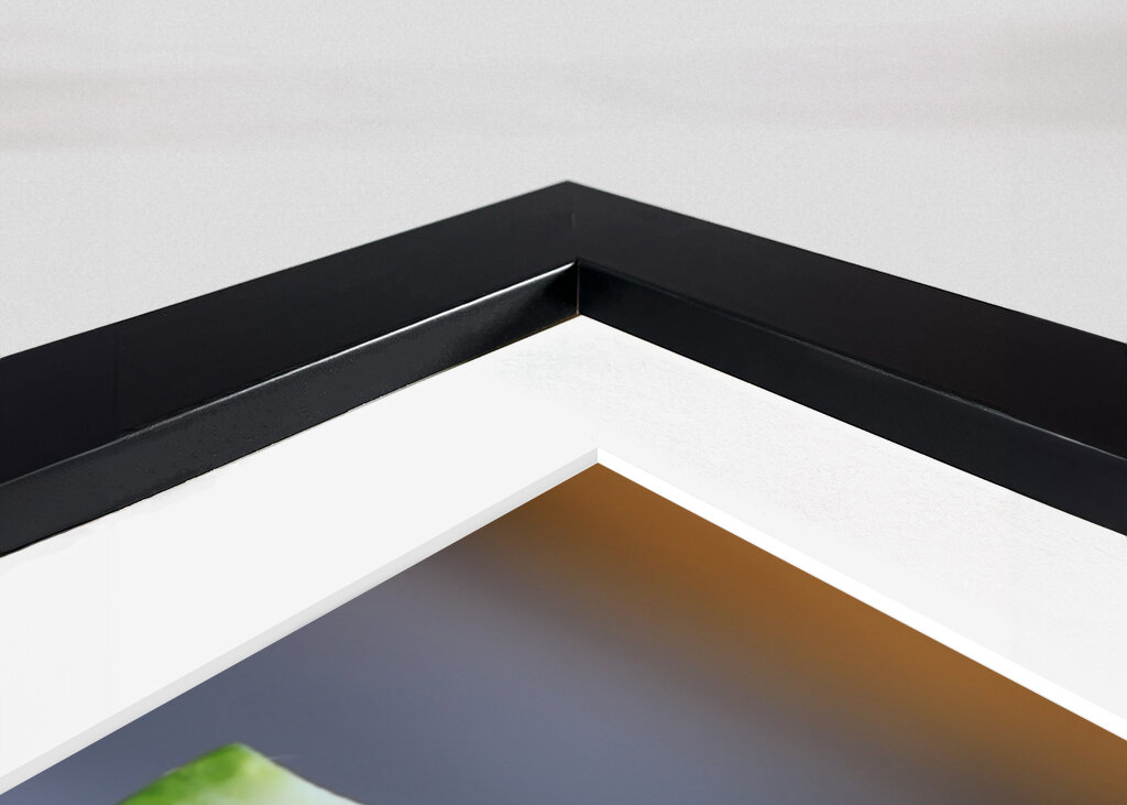 Świeże orzeźwiające pomarańcze