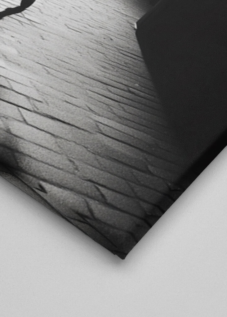 Ballet Dancer in NYC