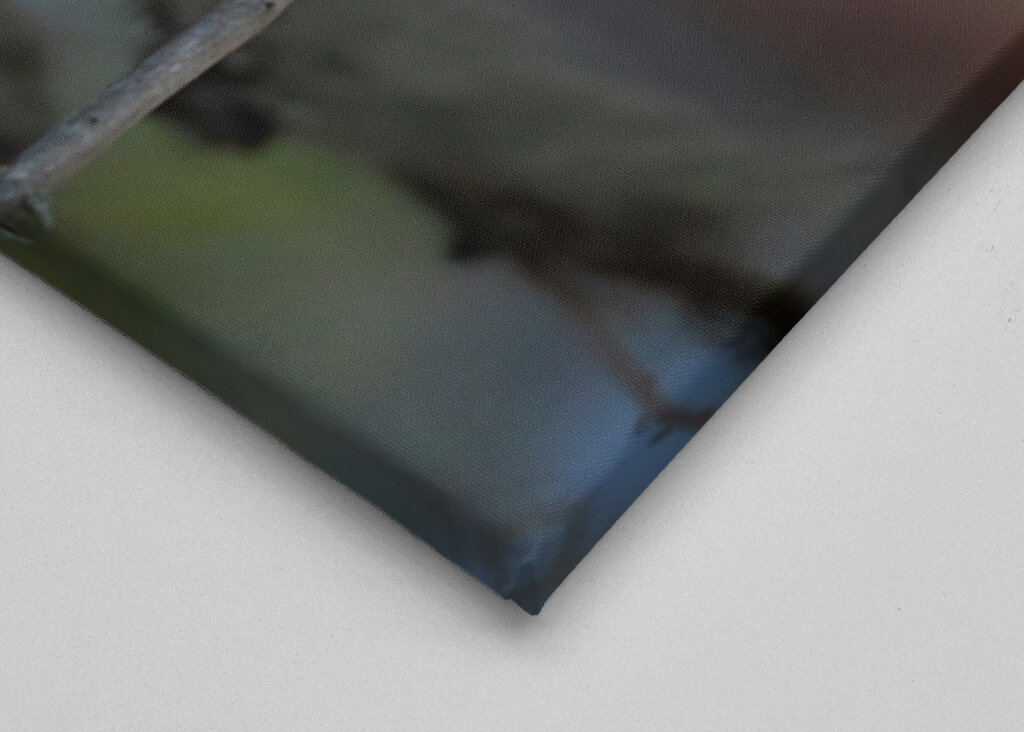 Sibirisk skadefugl blandt lav