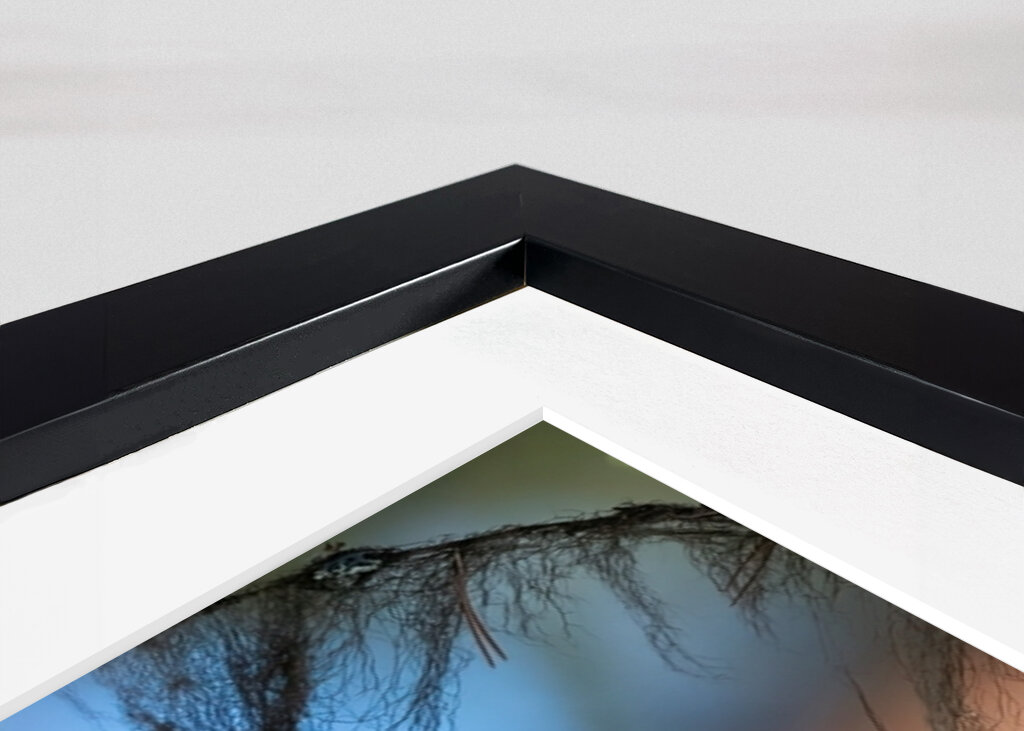 Sibirisk skadefugl blandt lav