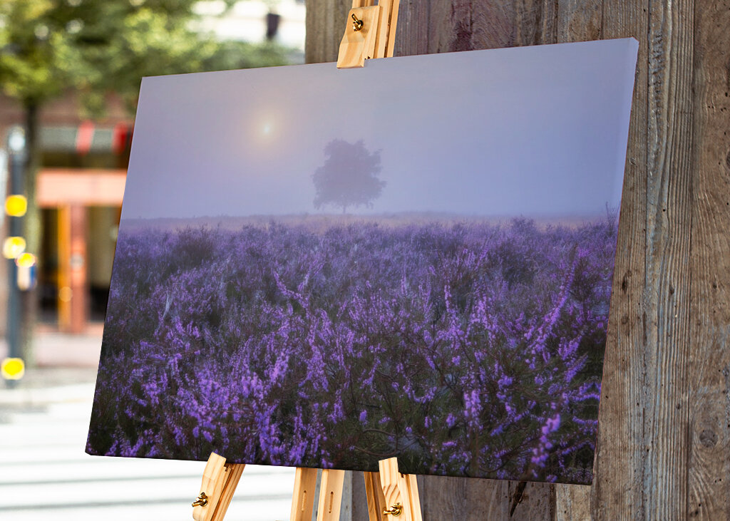 Eine ruhige Heidelandschaft 