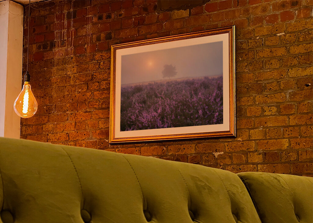 Eine ruhige Heidelandschaft 