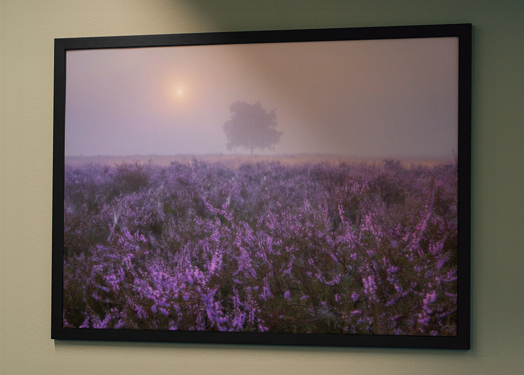 Eine ruhige Heidelandschaft 