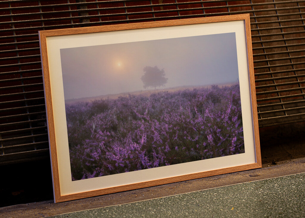 Eine ruhige Heidelandschaft 