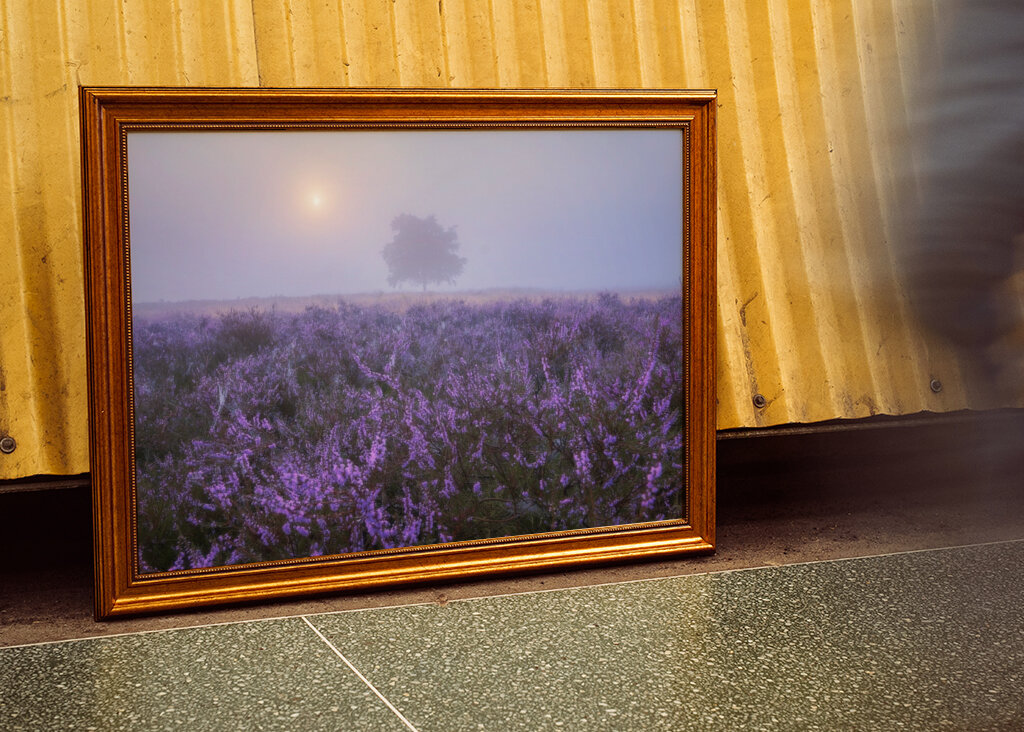 Eine ruhige Heidelandschaft 