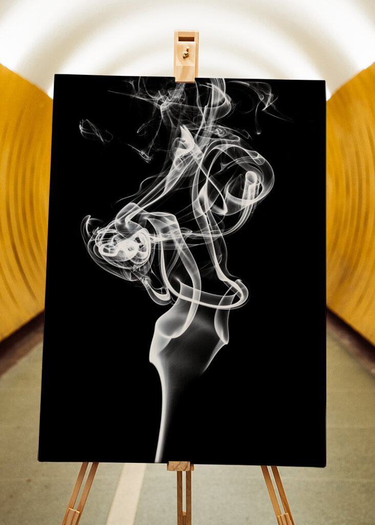 Tulip Dream - Black Edition