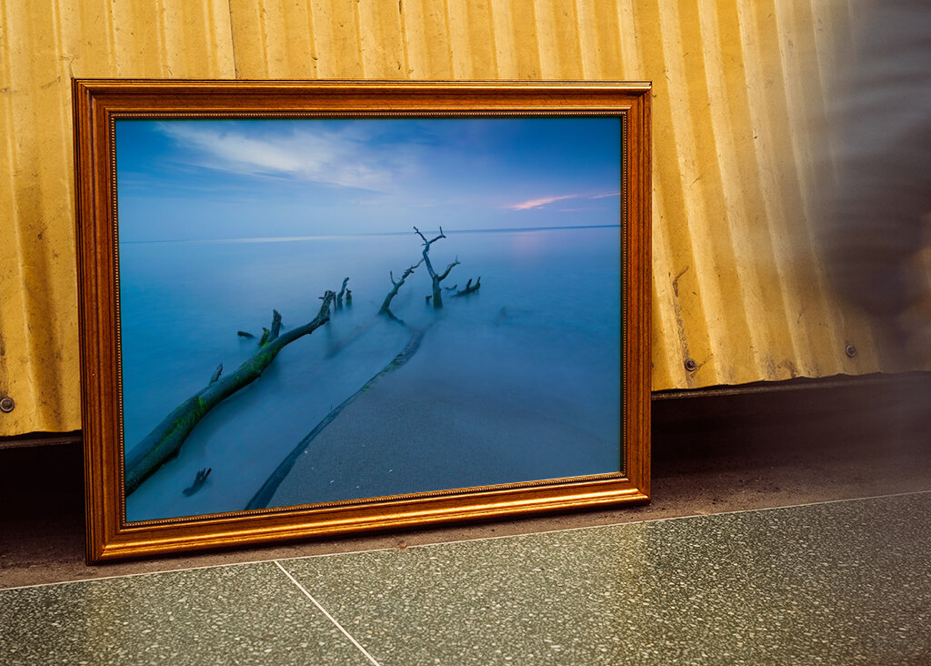 Evening at Darss Peninsula