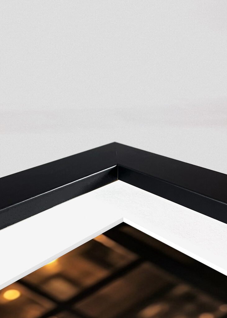 Černý labrador v hospodě