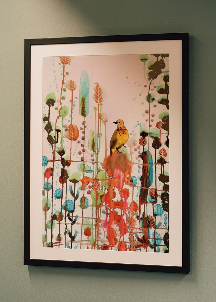 2563978 örömet kérni