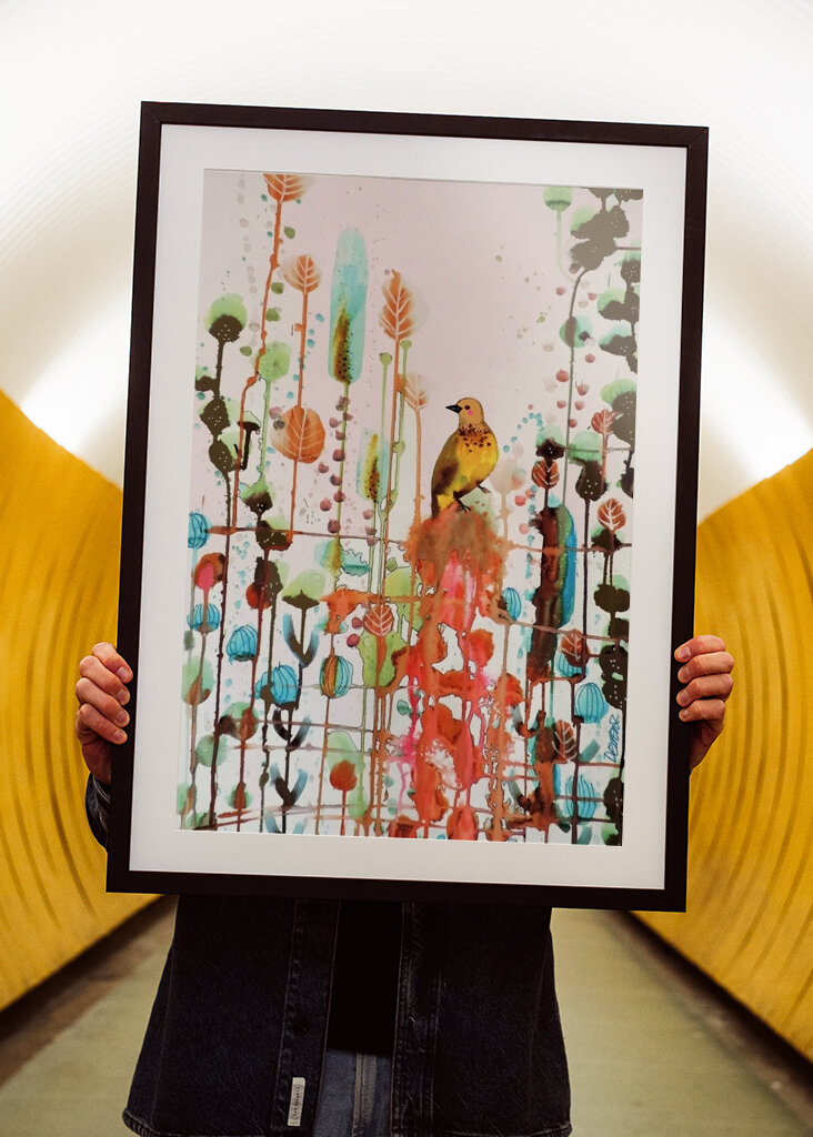 2563978 örömet kérni