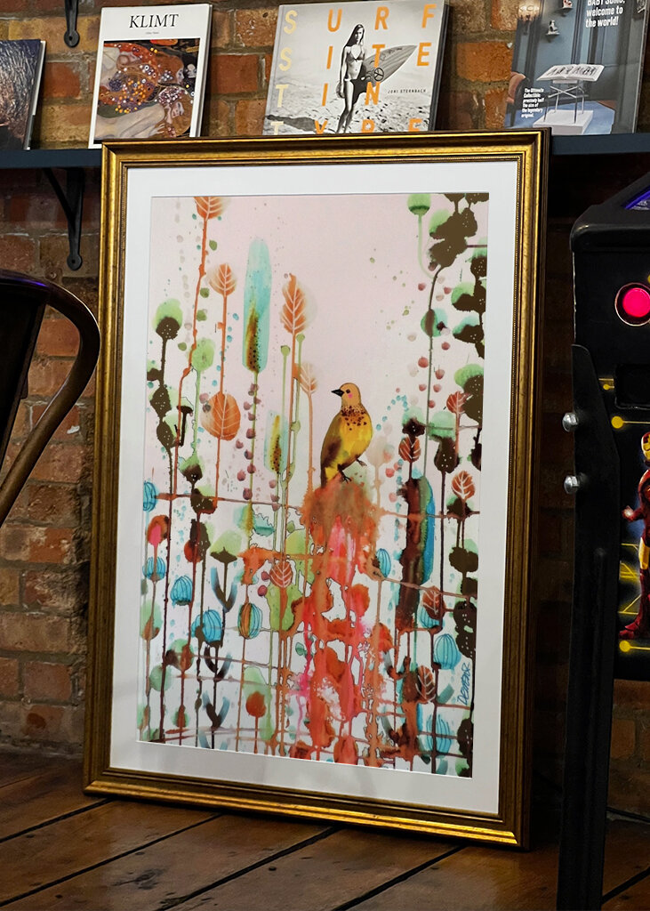 2563978 örömet kérni