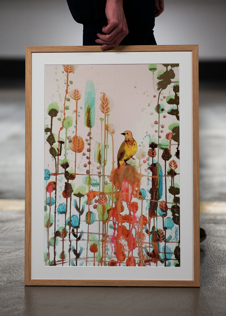 2563978 örömet kérni