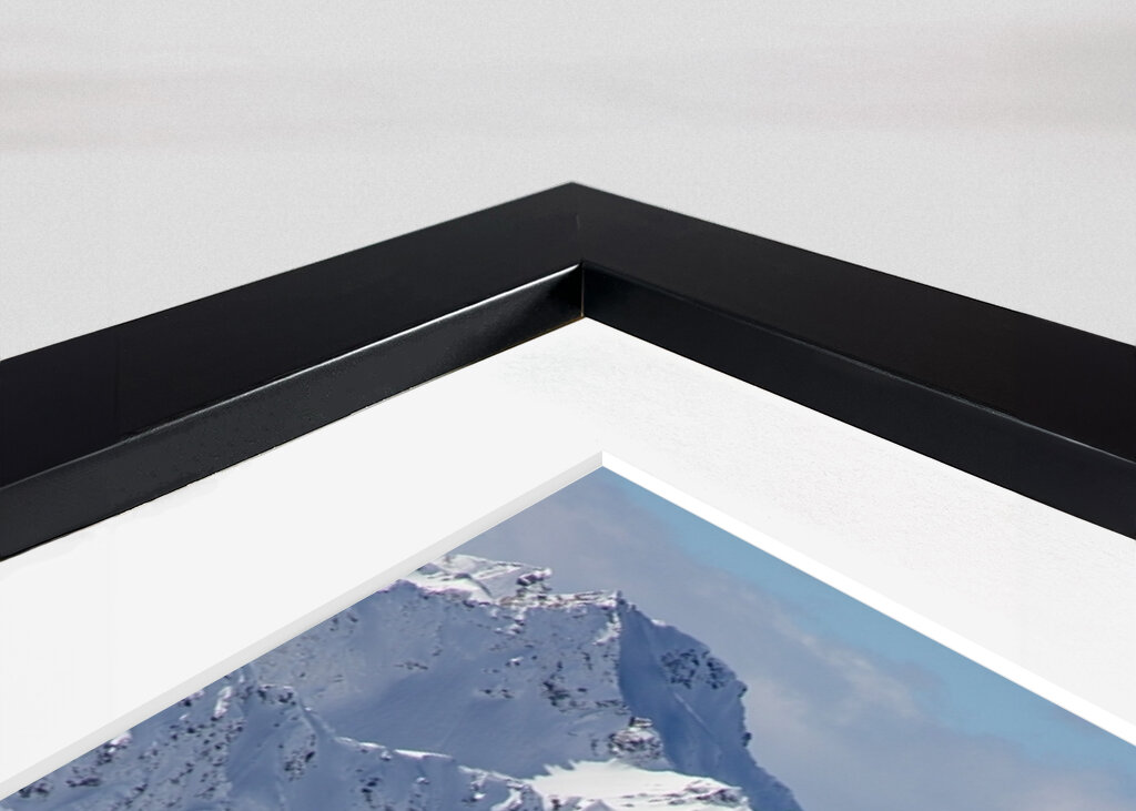 Skier with a view in the Alps