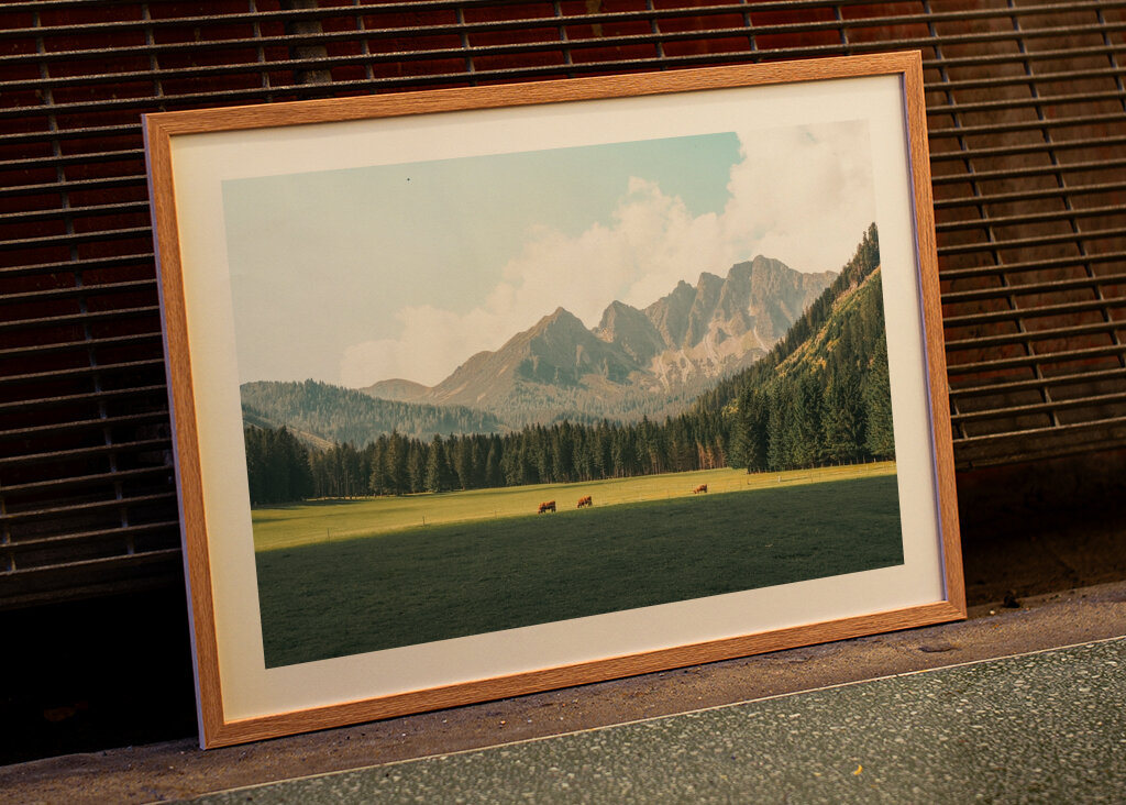 Pohoří Buffalo Landscape 