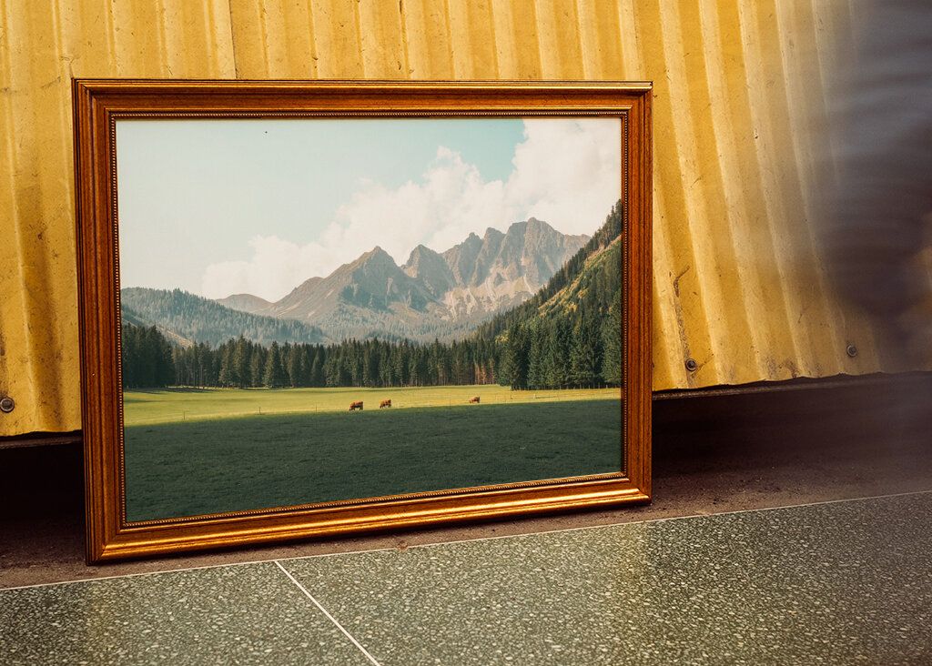 Pohoří Buffalo Landscape 