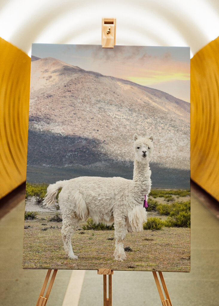 La llama blanca