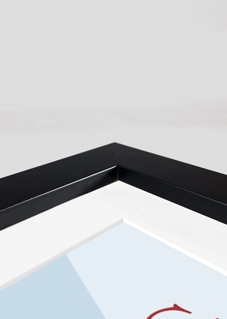 Tivoli Karolinelund - Aalborg