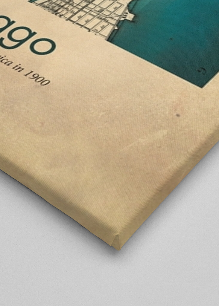 Vintage 1900 Chicago Map