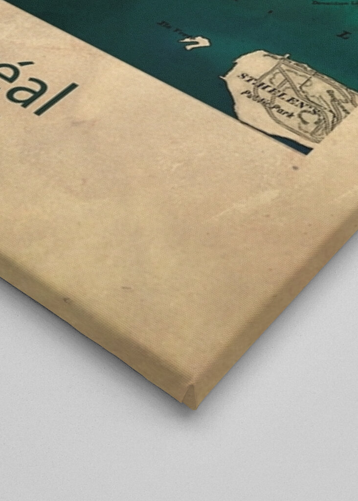 Mappa di Montreal 1900 #2506628