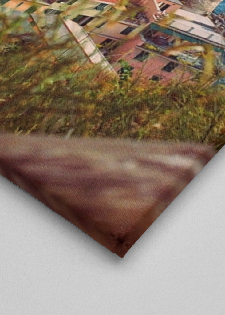 Manarola con vistas al mar