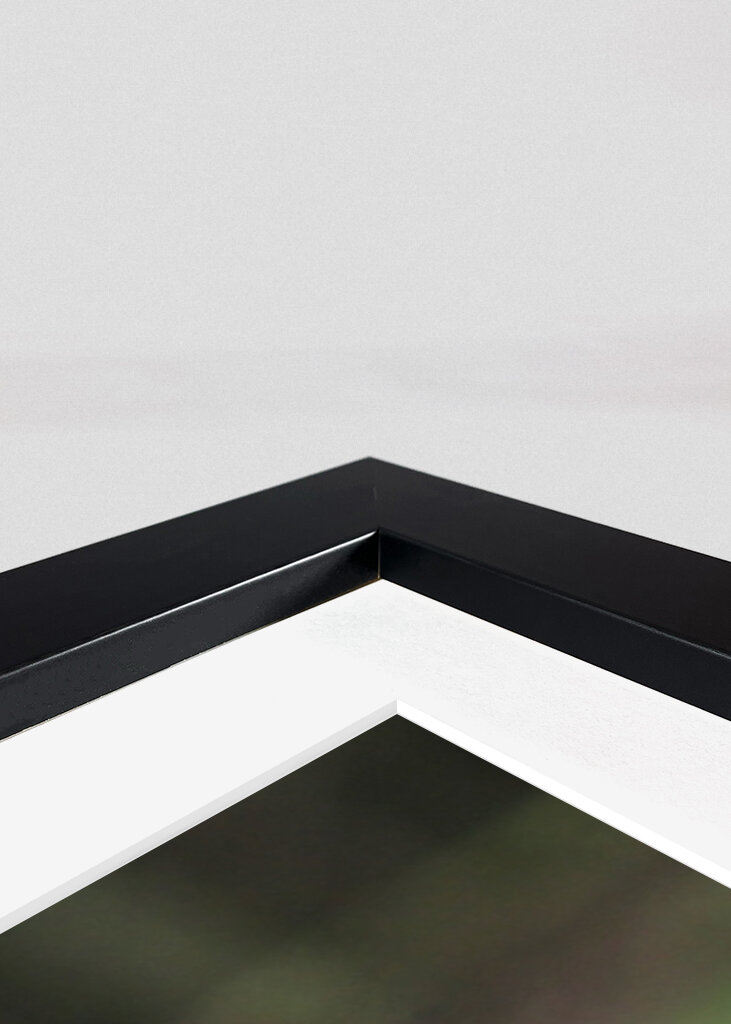 Ein Fliegenpilz im Wald 