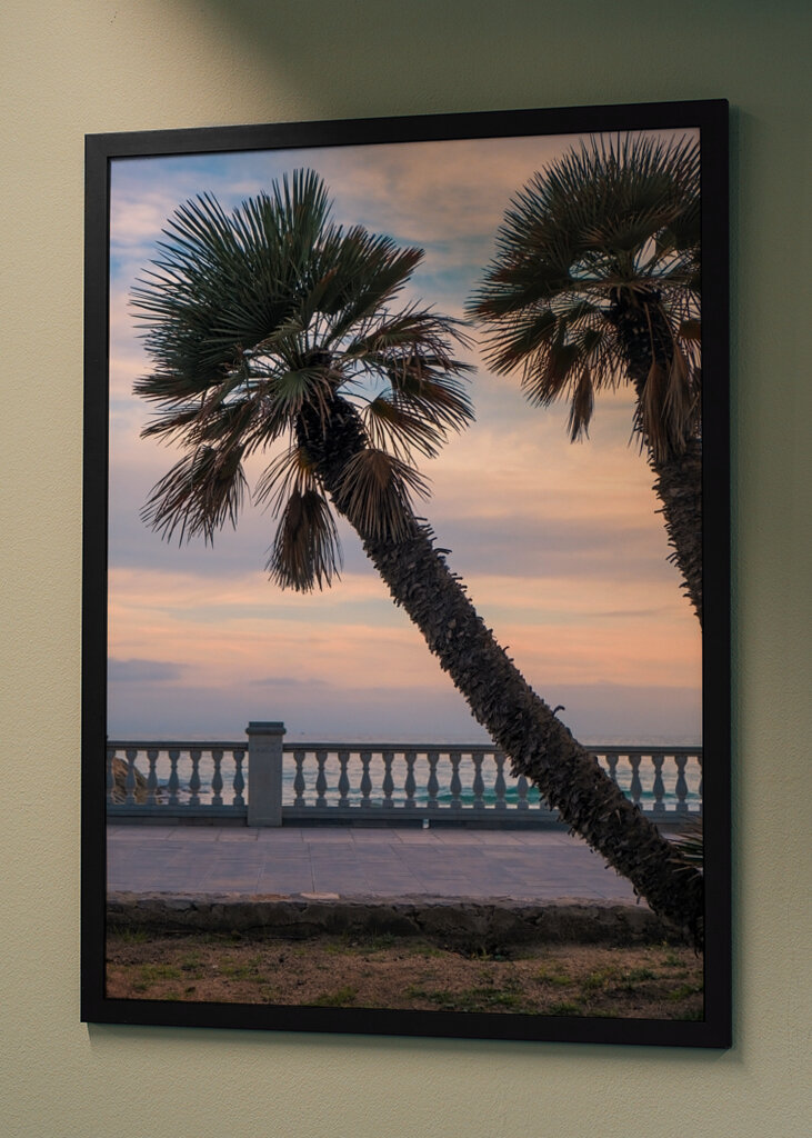 Palm tree at sunset