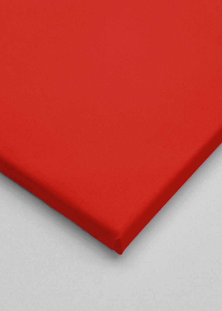 Ronaldo - Verenigd Manchester