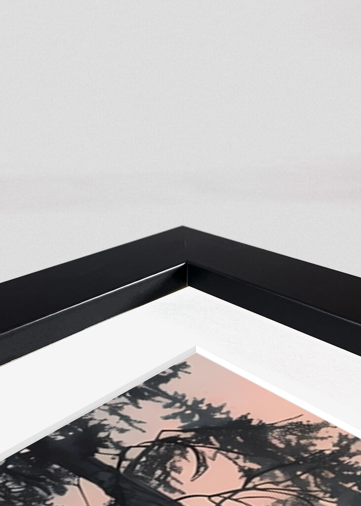 Bosque tranquilo al amanecer