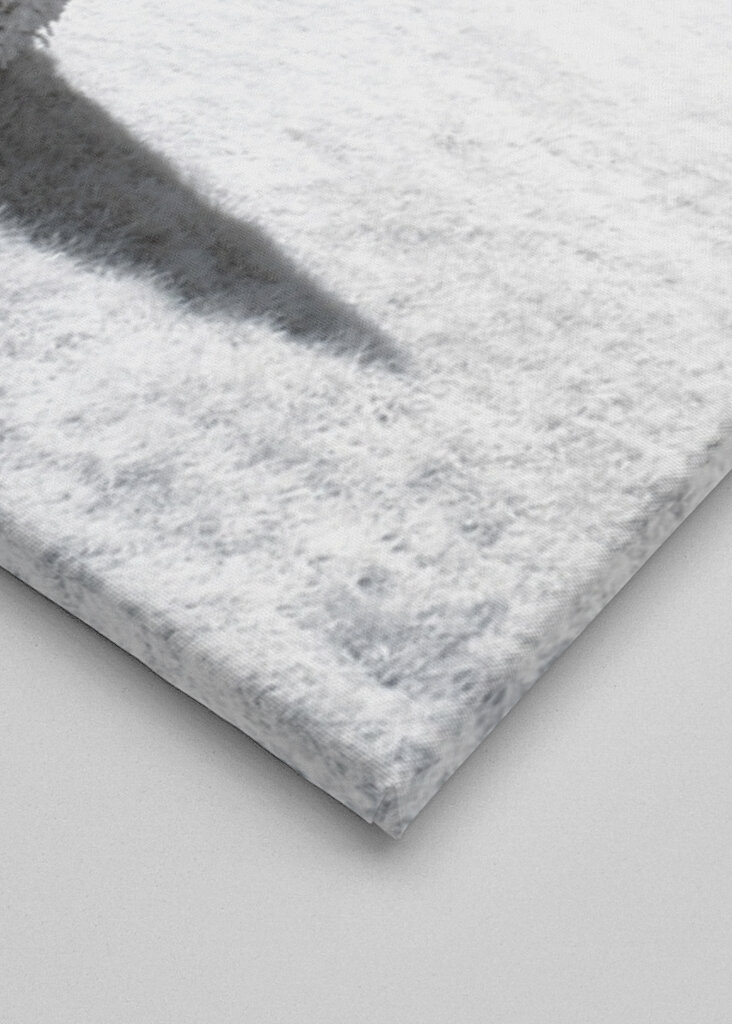 Winter of Notre Dame