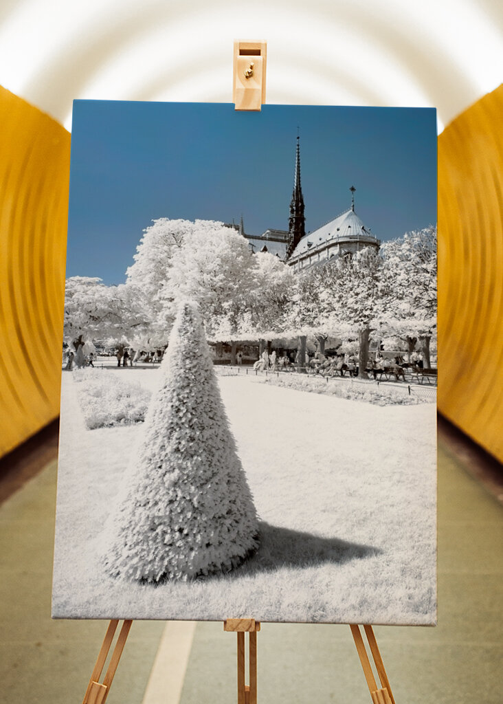 Winter of Notre Dame