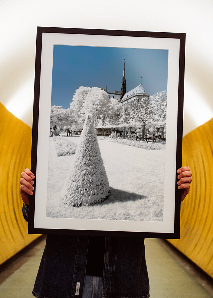 Winter of Notre Dame