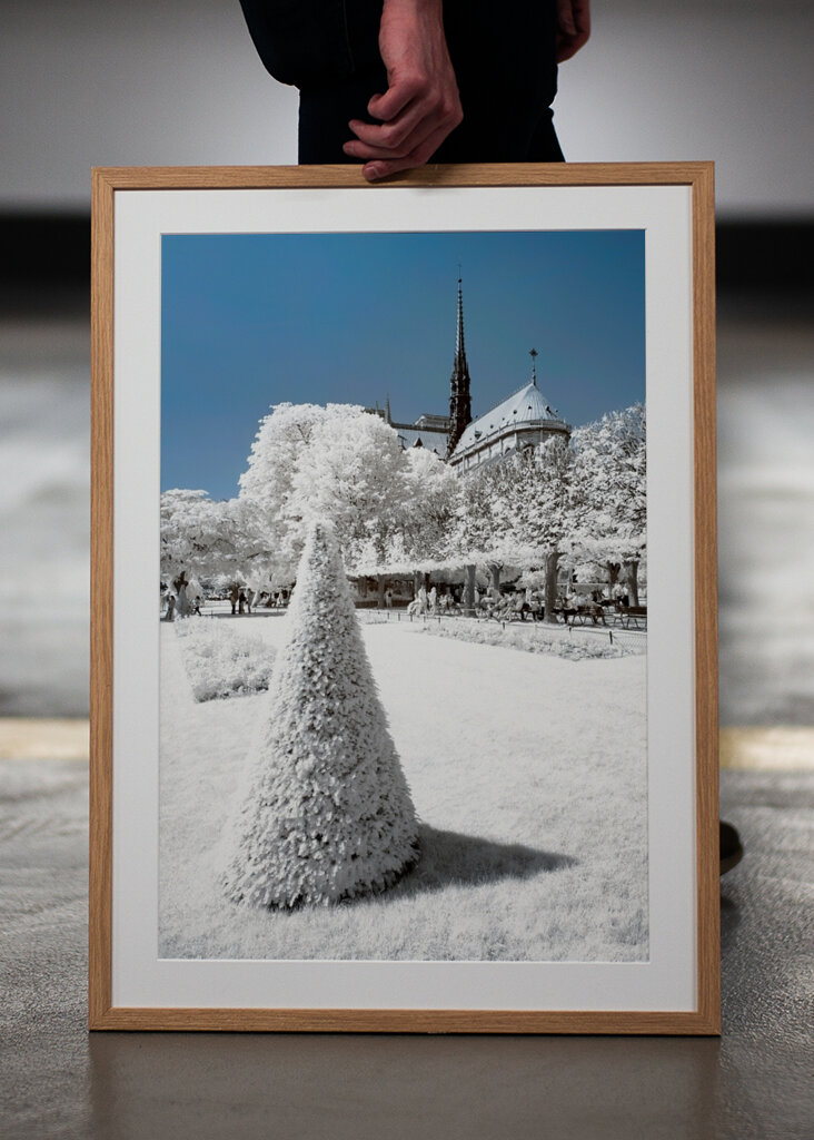 Winter of Notre Dame