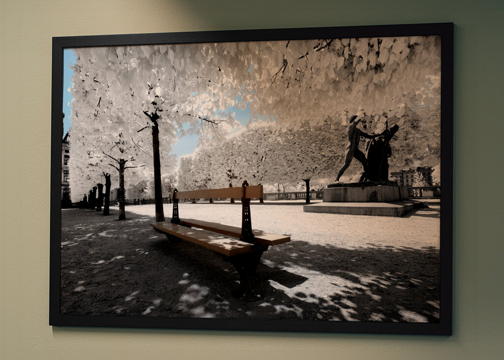 Another Look - Solitary Bench