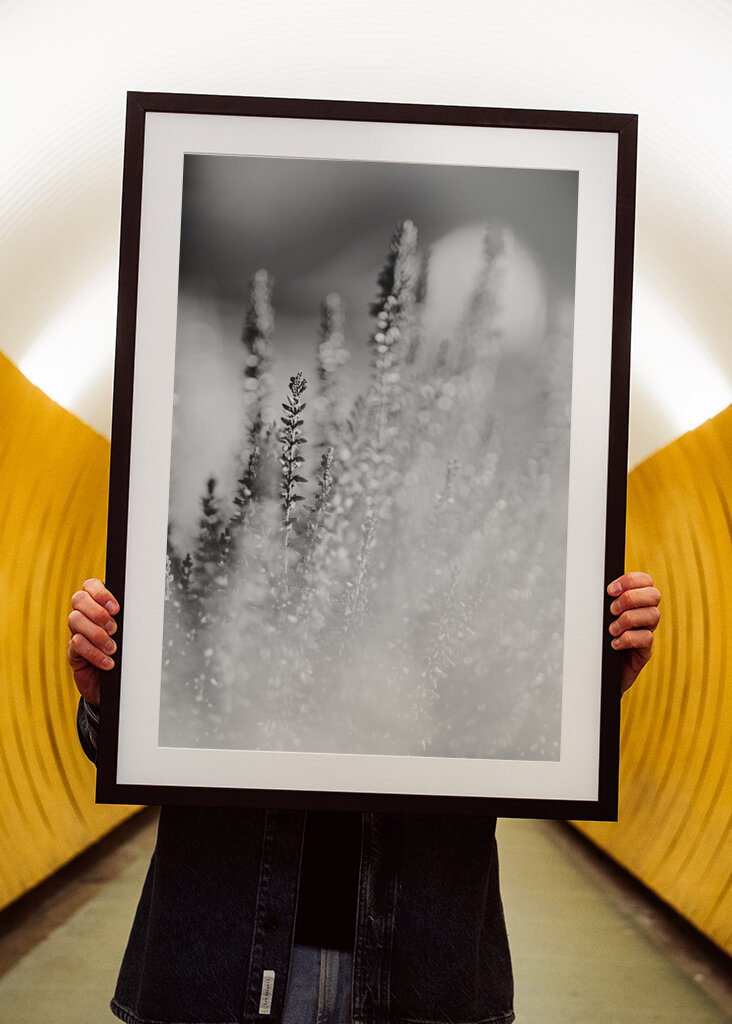 Die Vegetation der Träume