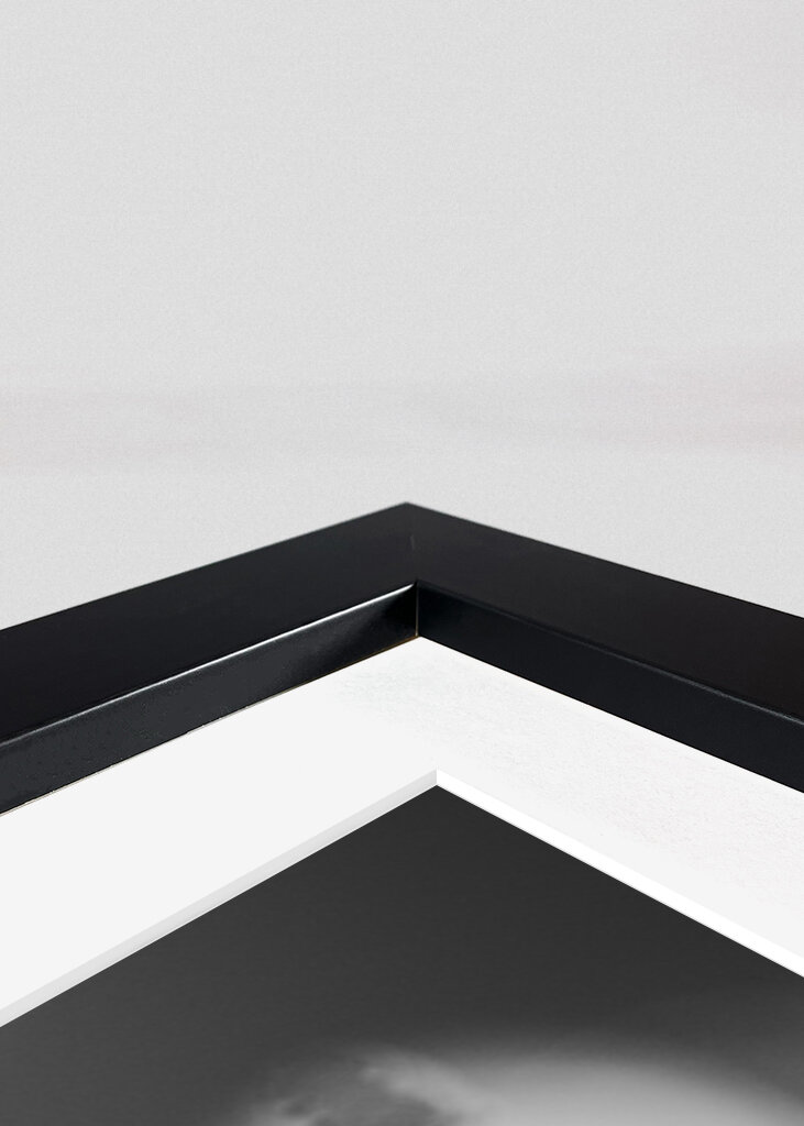 Die Vegetation der Träume