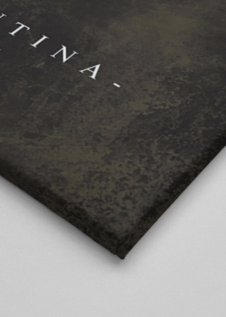 Vlajka mapy Argentiny