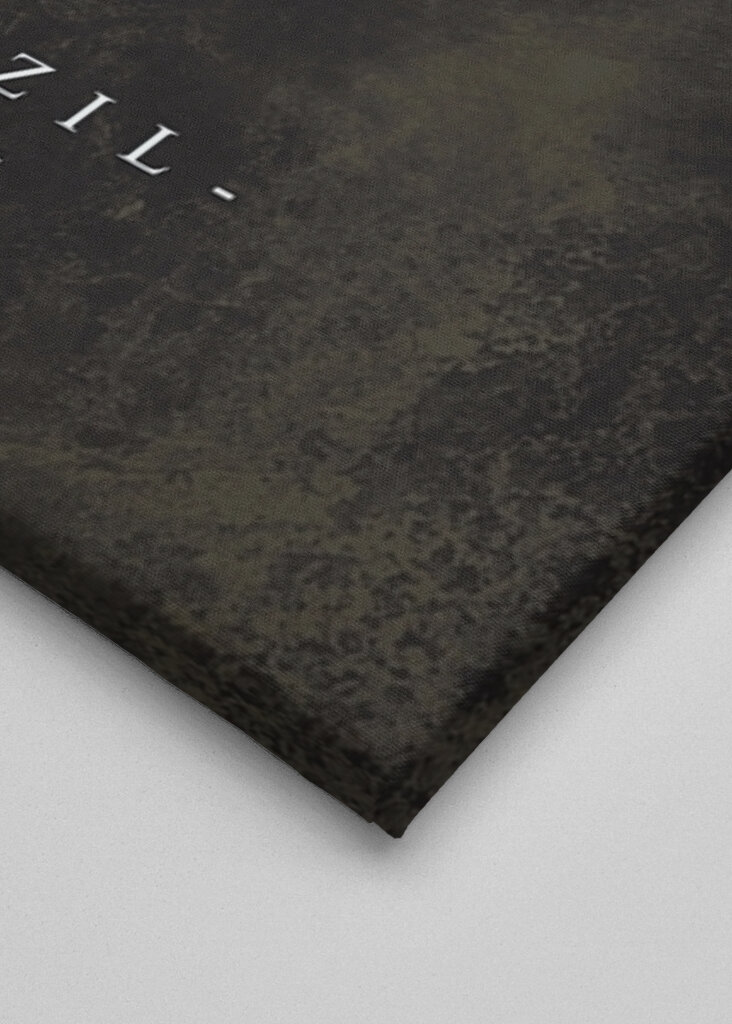 Brasilien Karte Flagge